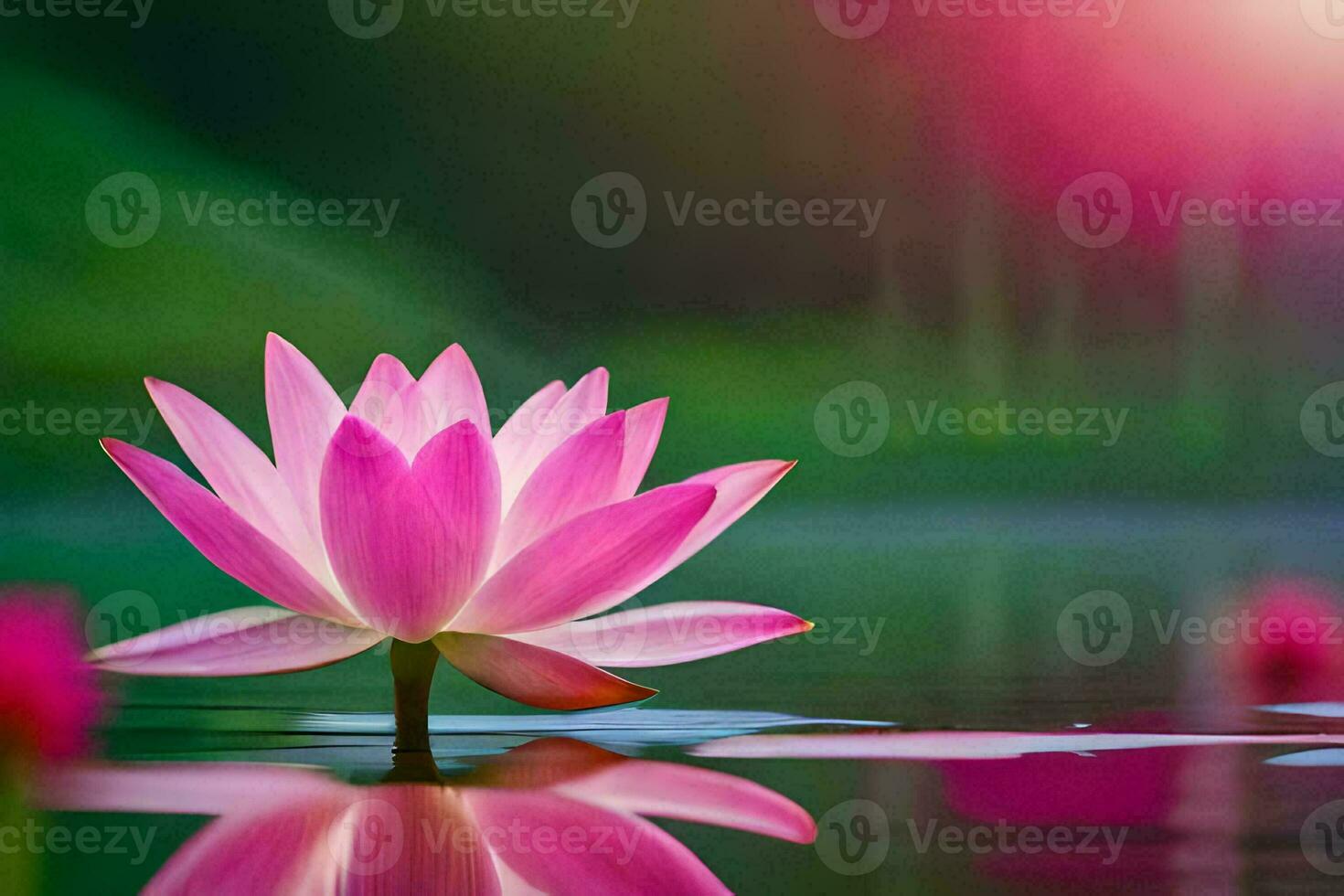 pink lotus flower in water with bright sun. AI-Generated photo