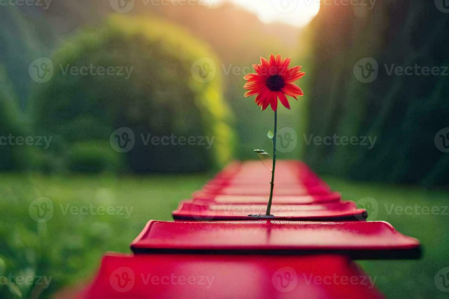 un soltero rojo flor se sienta en un banco en el medio de un campo. generado por ai foto