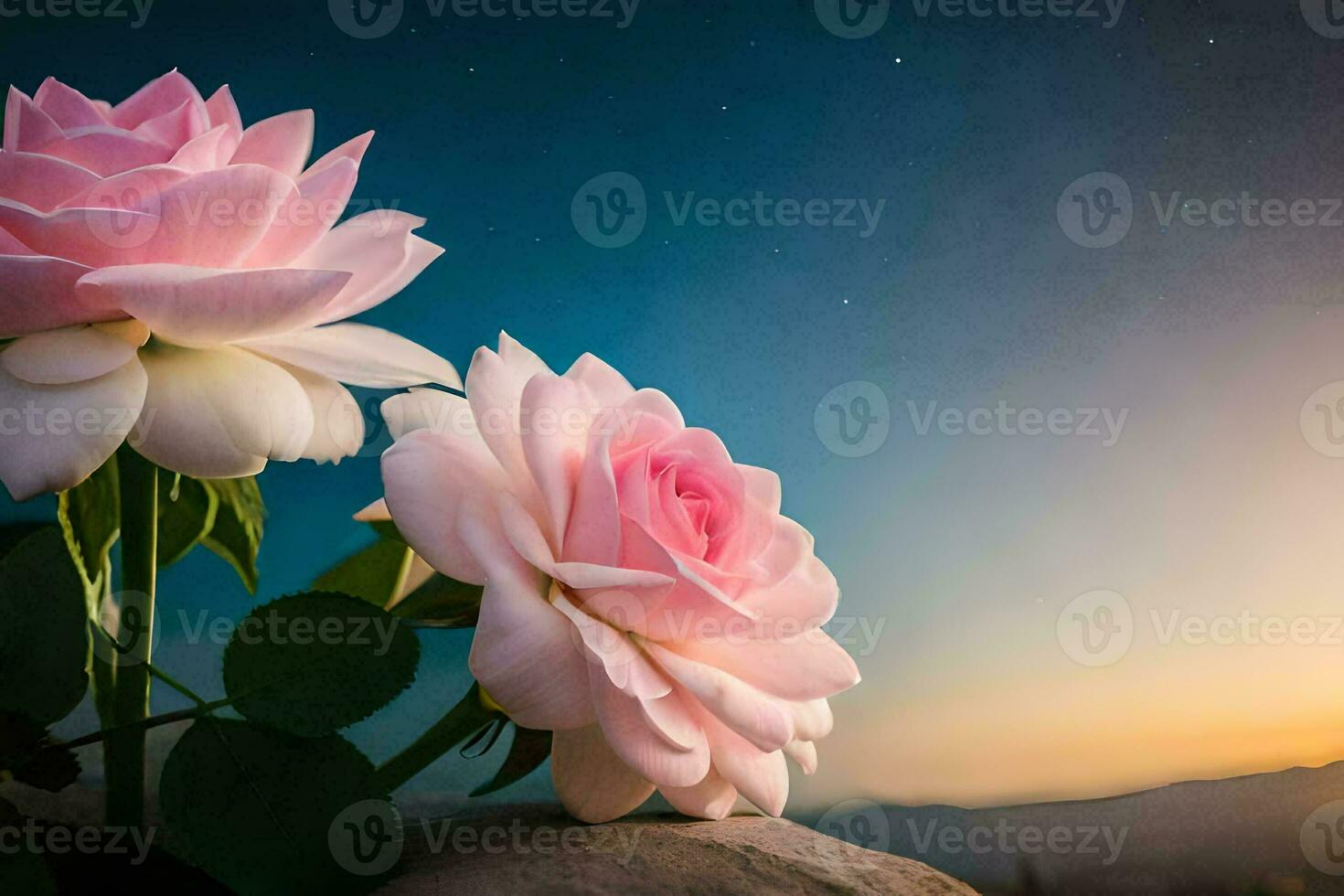 two pink roses are on a rock in front of a sunset. AI-Generated photo