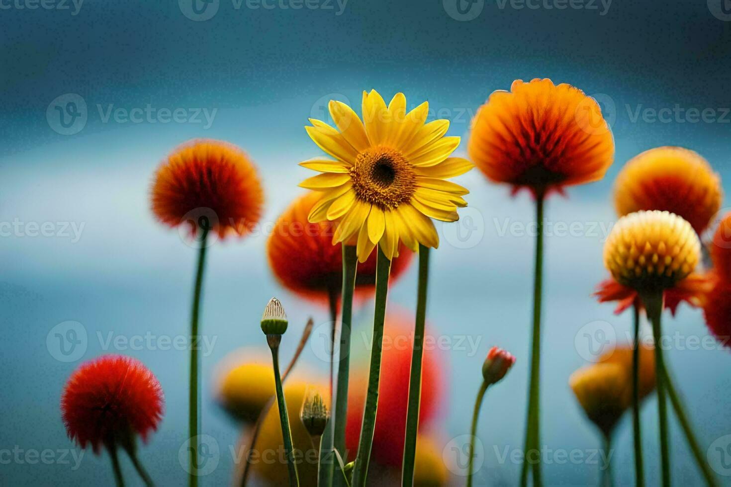 a group of colorful flowers with a blue sky in the background. AI-Generated photo