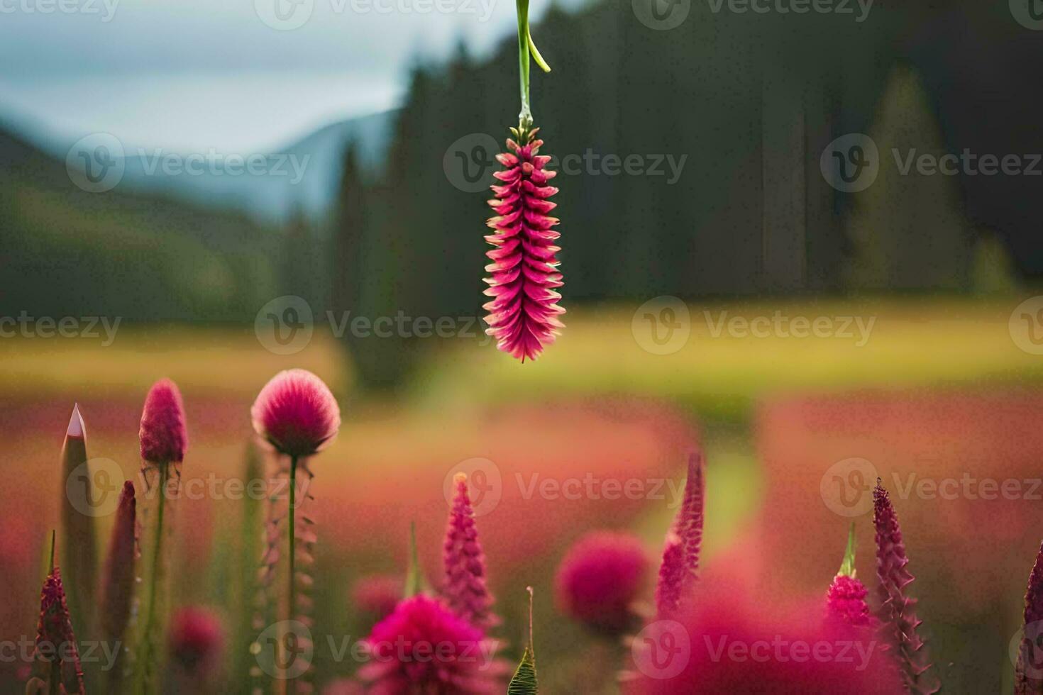 a pink flower is hanging from a tree in a field. AI-Generated photo