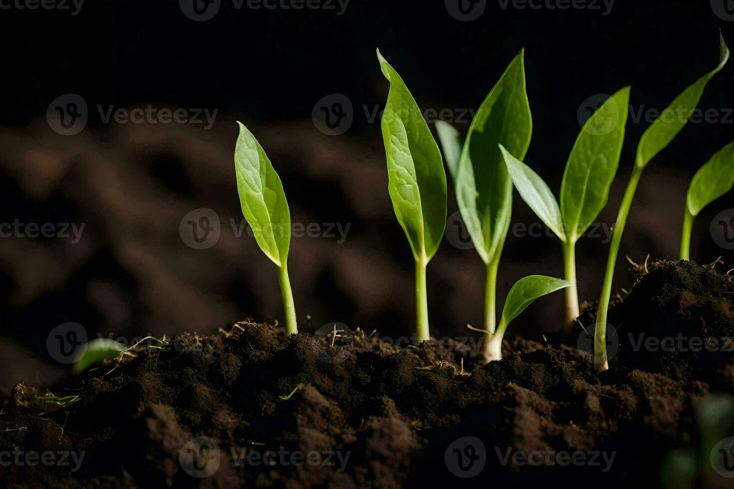 un grupo de joven plantas creciente en el suelo. generado por ai foto