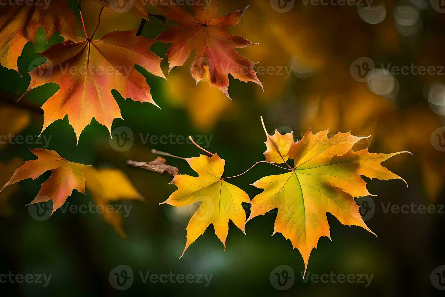 autumn leaves, autumn, autumn leaves, autumn leaves, autumn leaves, autumn leaves, autumn. AI-Generated photo