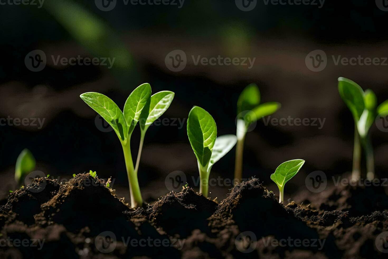 a group of young plants growing in the dirt. AI-Generated photo