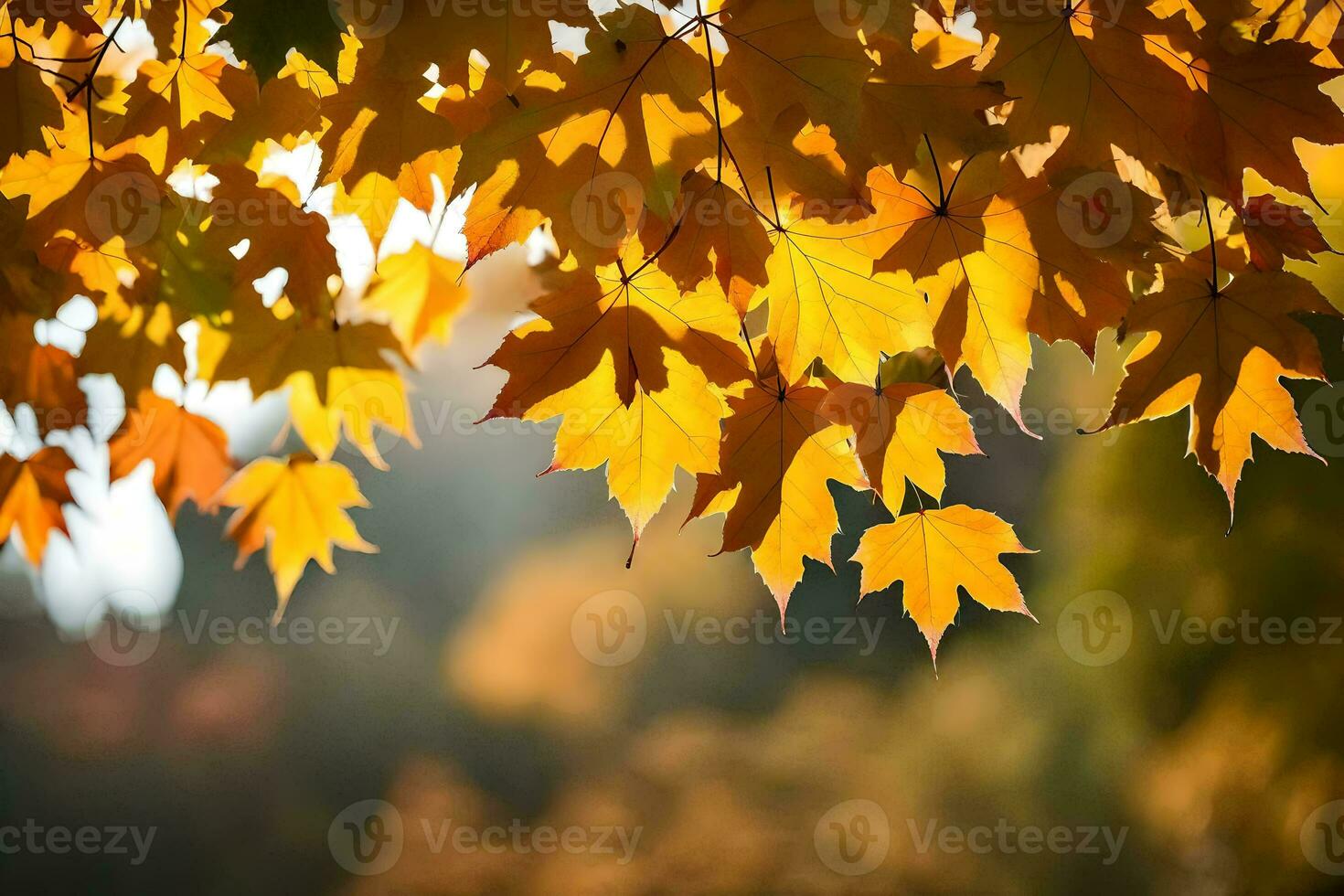 photo wallpaper leaves, the sun, autumn, the leaves, the sun, the leaves, the. AI-Generated