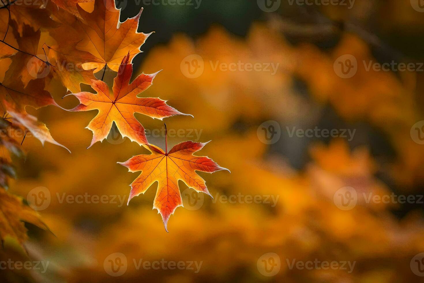 otoño hojas, otoño, otoño hojas, otoño hojas, otoño hojas, otoño hojas, otoño. generado por ai foto