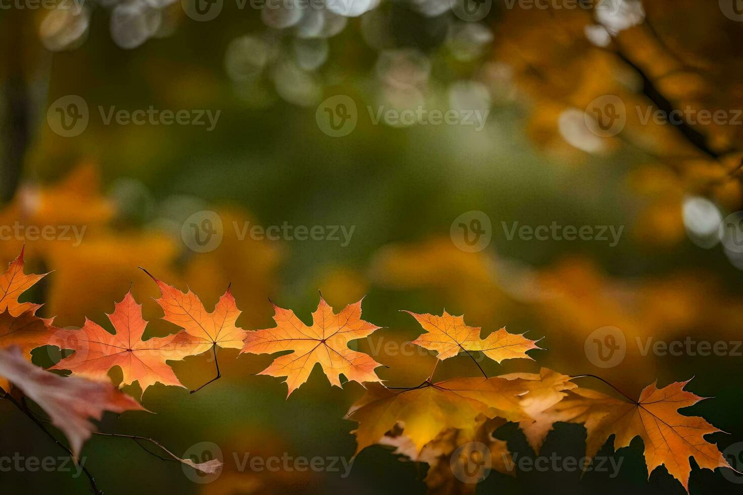 autumn leaves are shown in a photo. AI-Generated photo