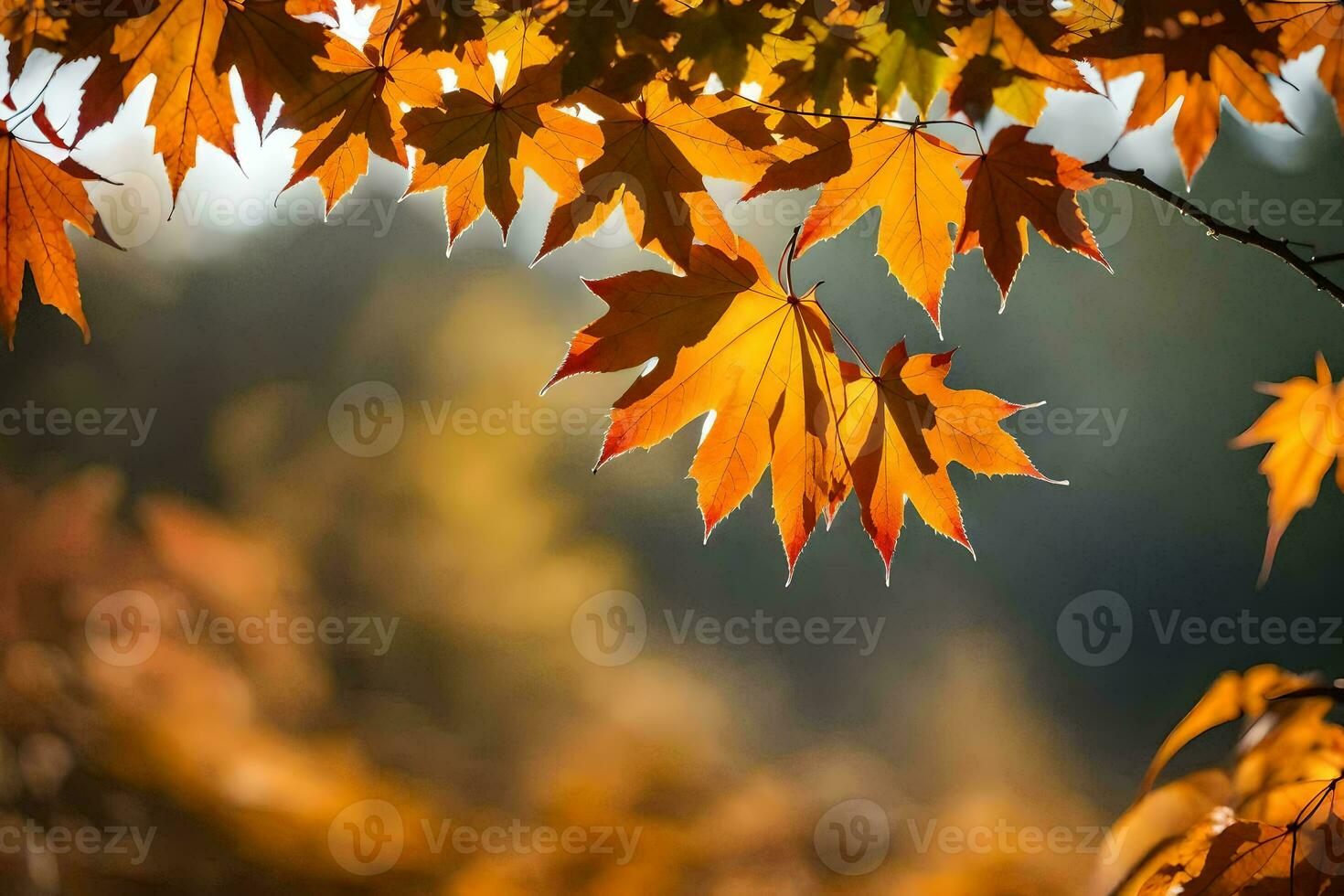 autumn leaves are shown in the sunlight. AI-Generated photo