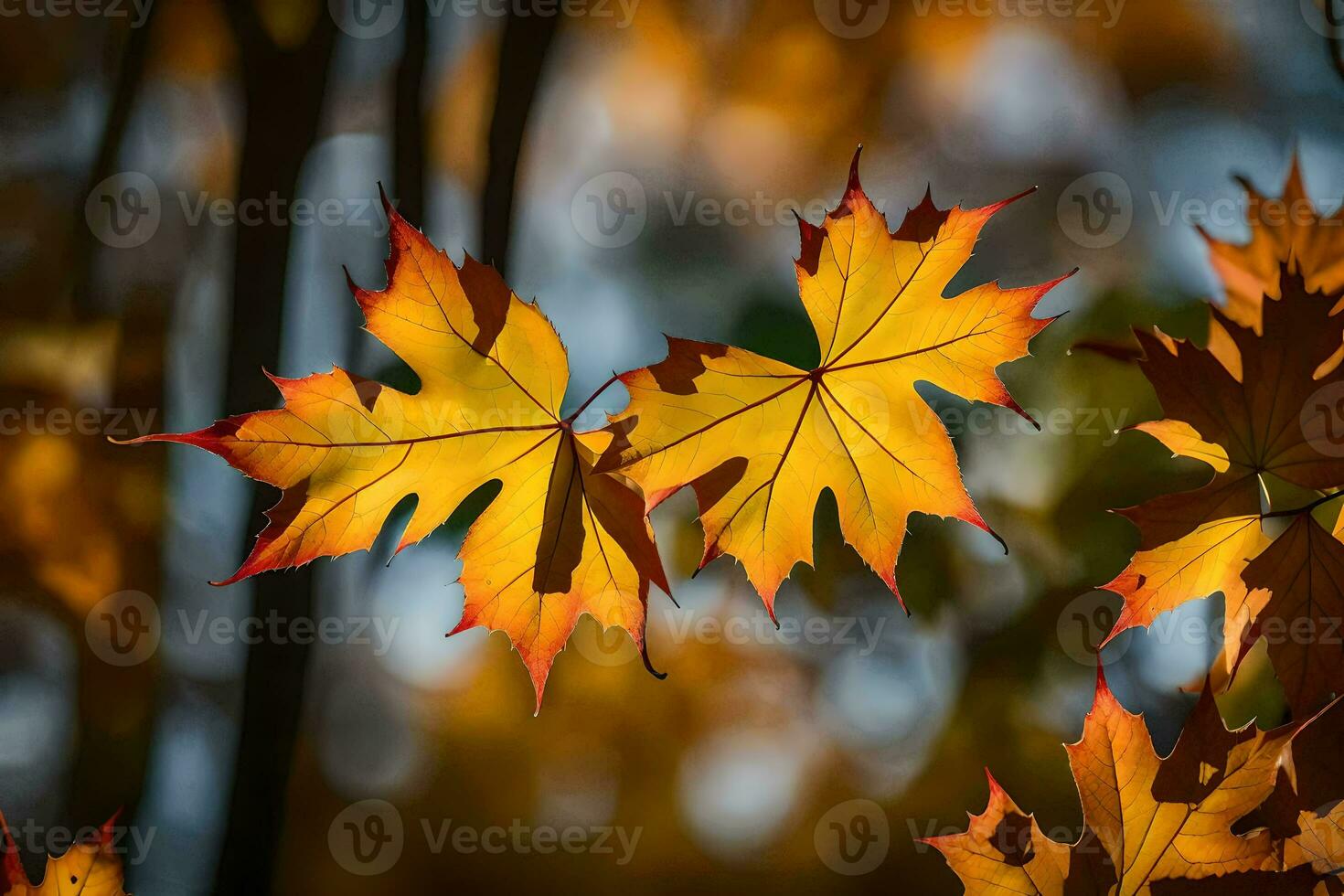 otoño hojas fotografía - otoño hojas multa Arte impresión. generado por ai foto