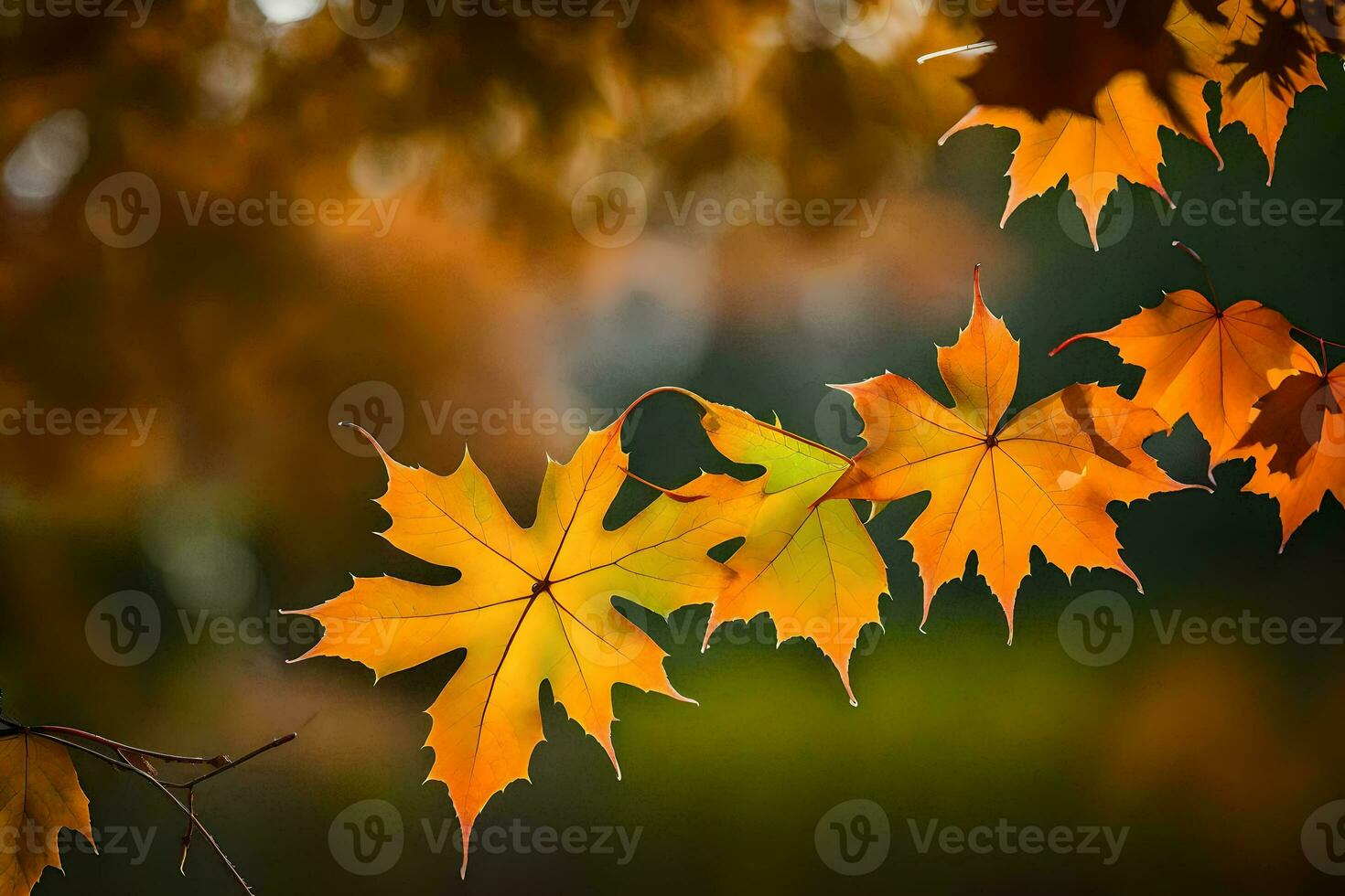 autumn leaves, autumn, autumn leaves, autumn leaves, autumn leaves, autumn leaves, autumn. AI-Generated photo