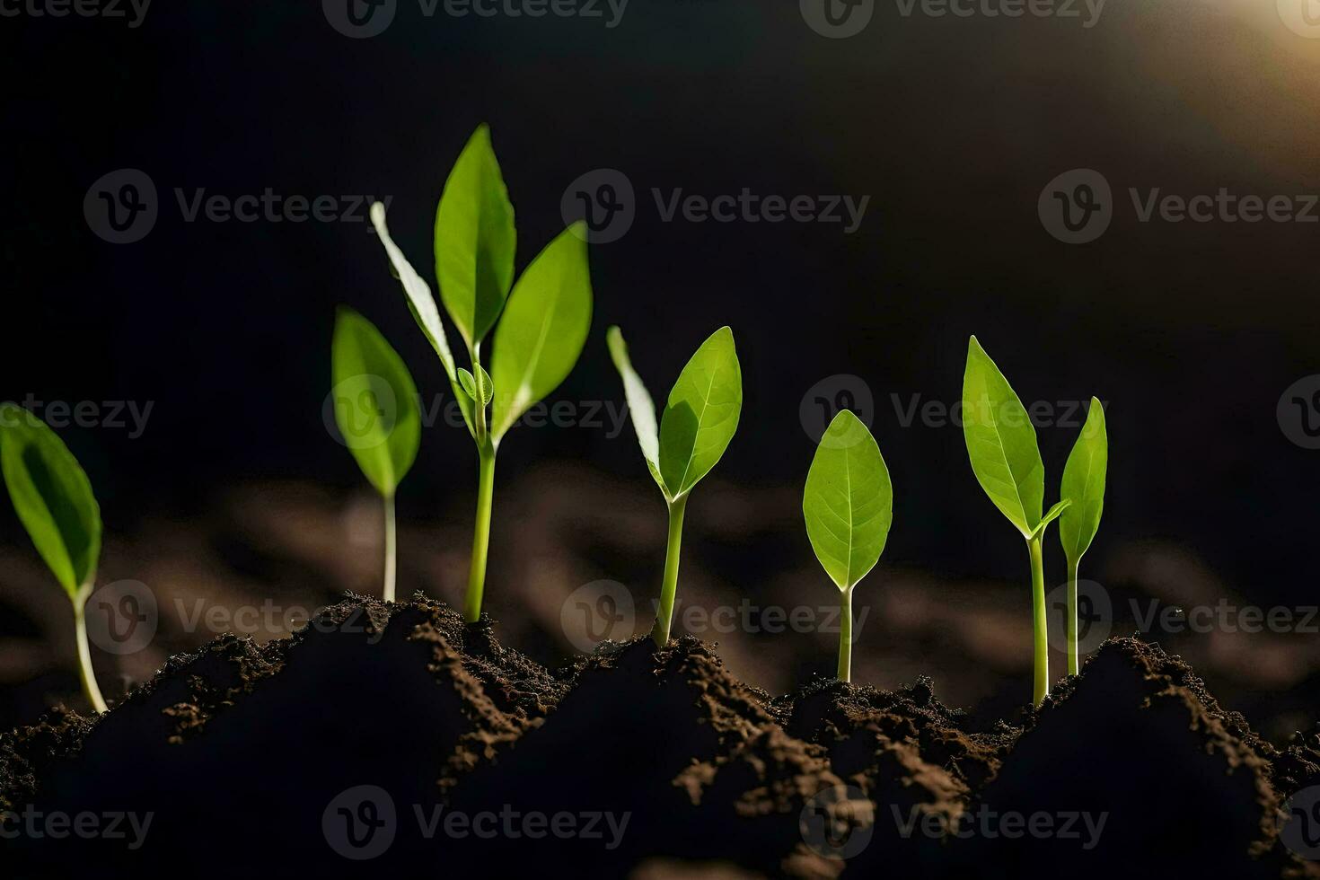 un grupo de joven plantas creciente en el suciedad. generado por ai foto