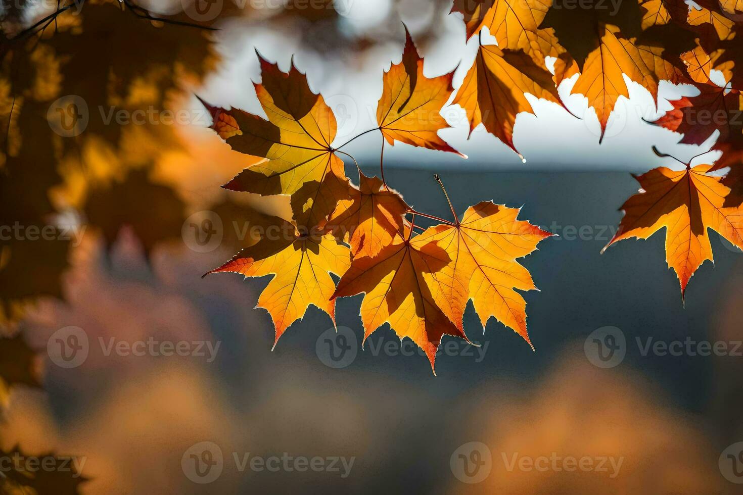 autumn leaves in the sunlight. AI-Generated photo