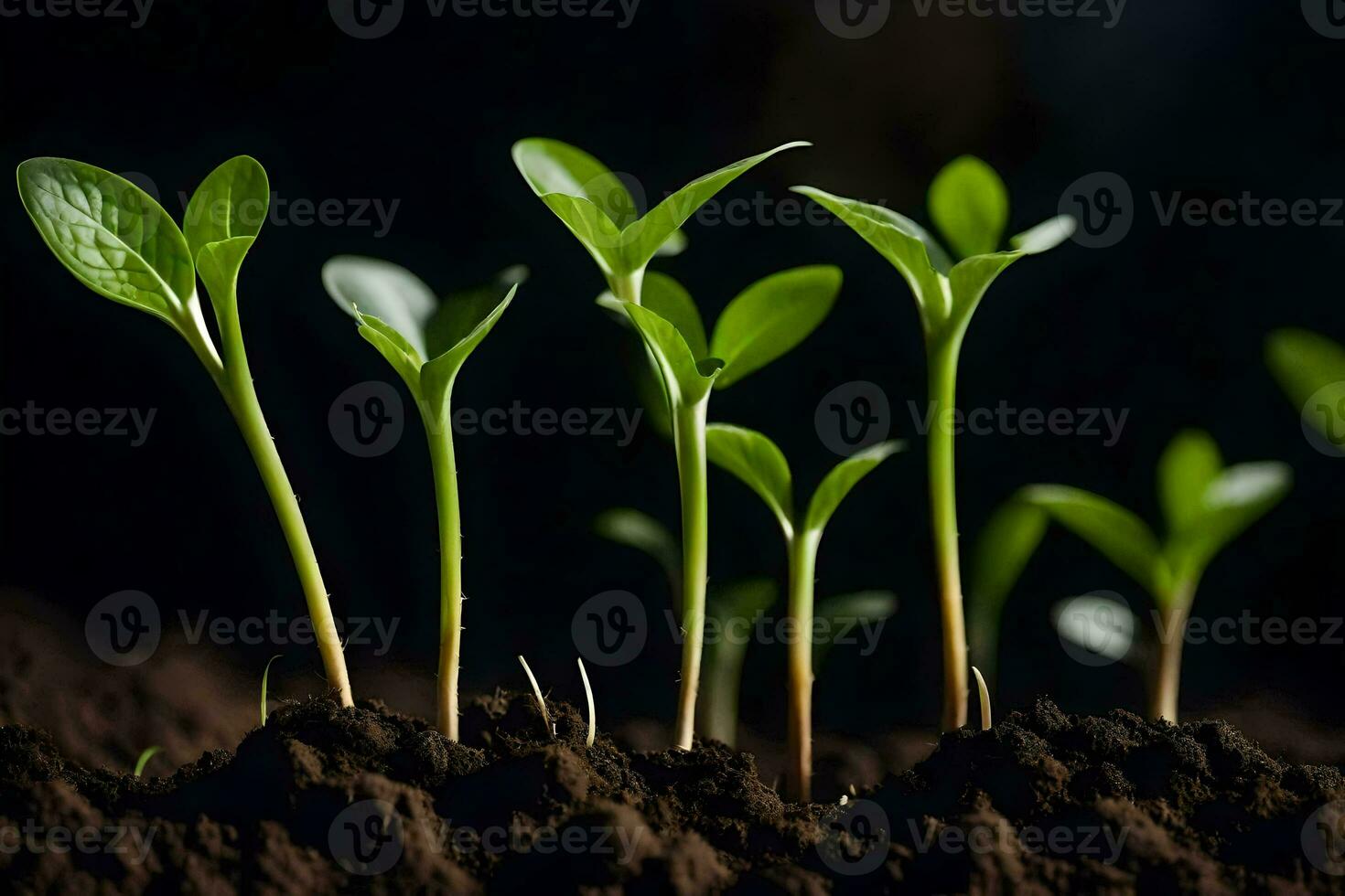 a group of young plants growing in the soil. AI-Generated photo