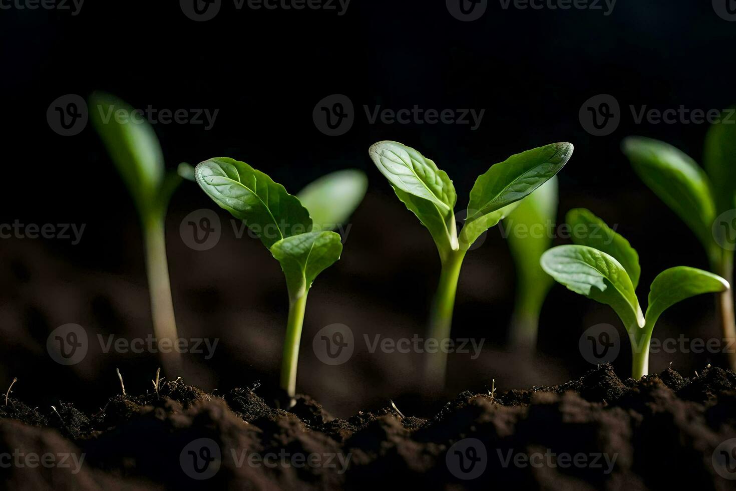 un grupo de joven plantas creciente en el suelo. generado por ai foto