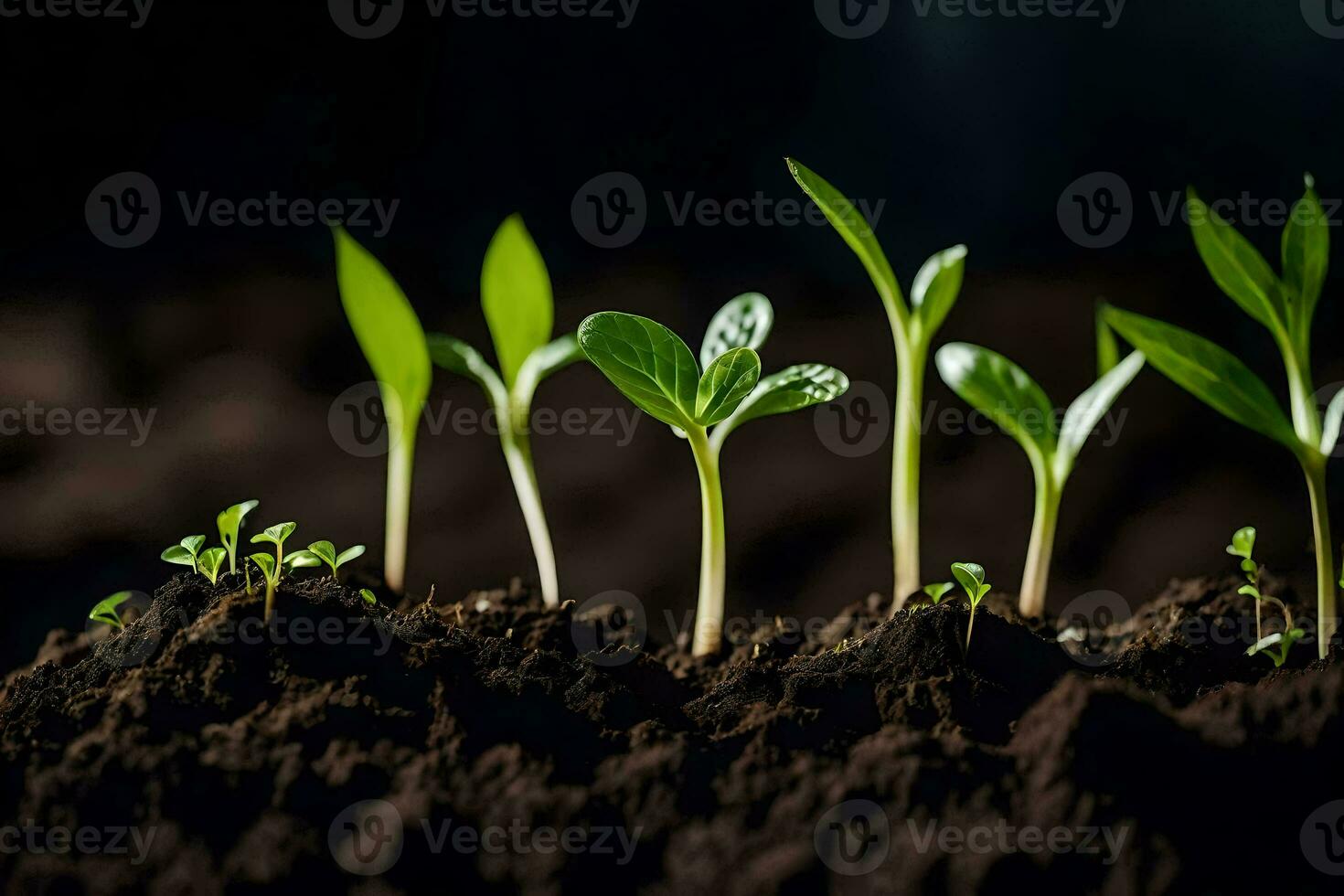 a group of young plants growing in the dirt. AI-Generated photo