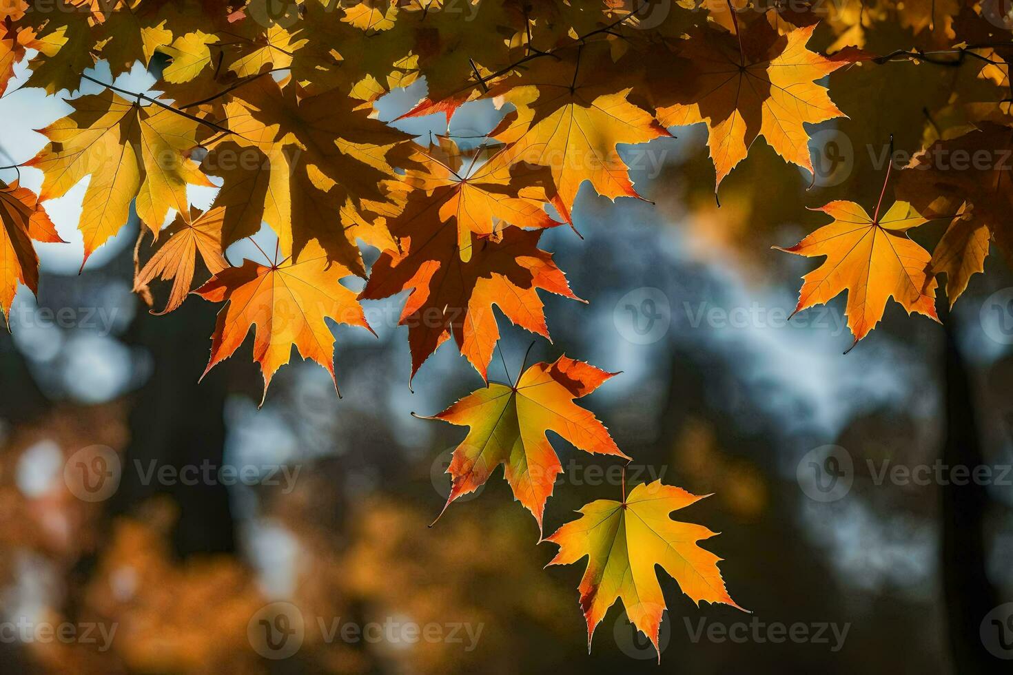 autumn leaves in the sunlight. AI-Generated photo