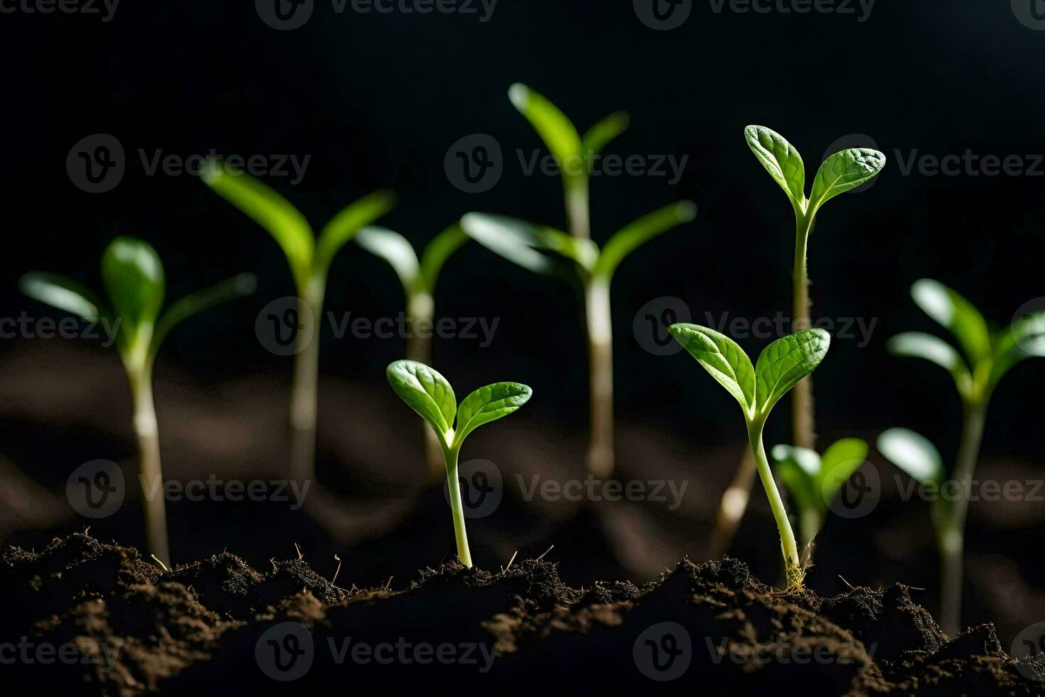 un grupo de joven plantas creciente en el suelo. generado por ai foto