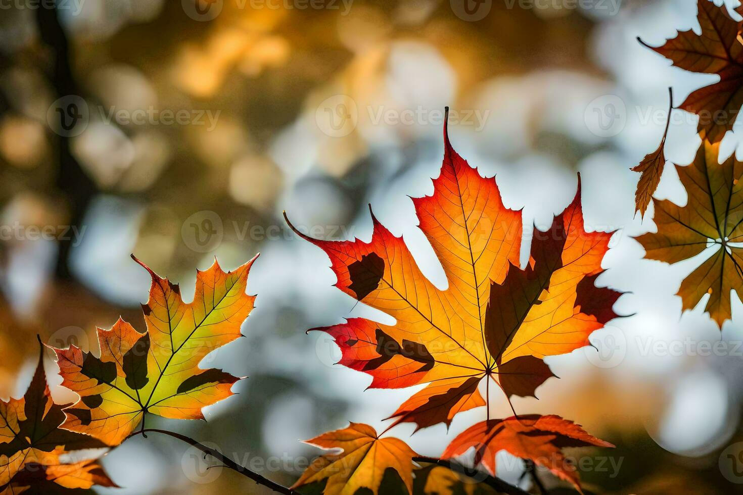 autumn leaves are shown in this photo. AI-Generated photo