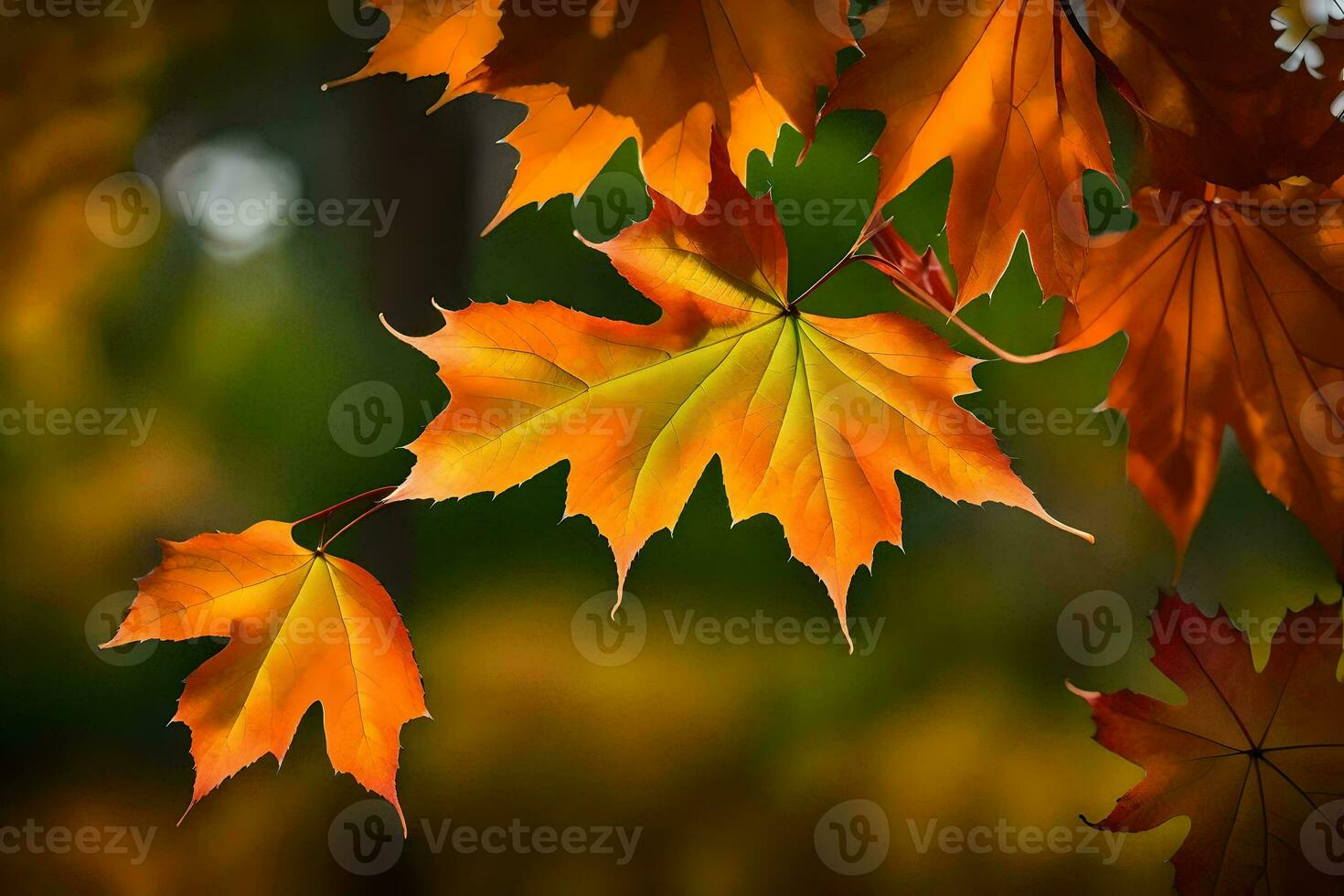 autumn leaves are shown in this photo. AI-Generated photo