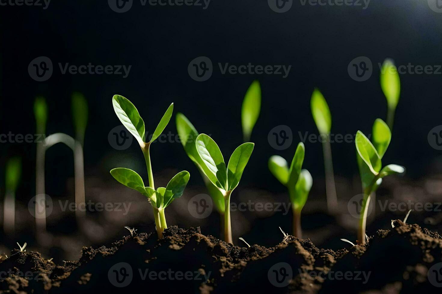 young plants sprouting from the soil. AI-Generated photo