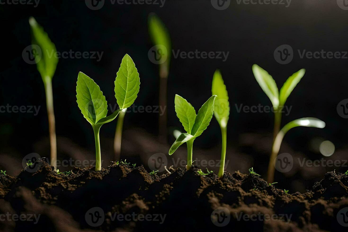un grupo de joven plantas creciente en el suciedad. generado por ai foto