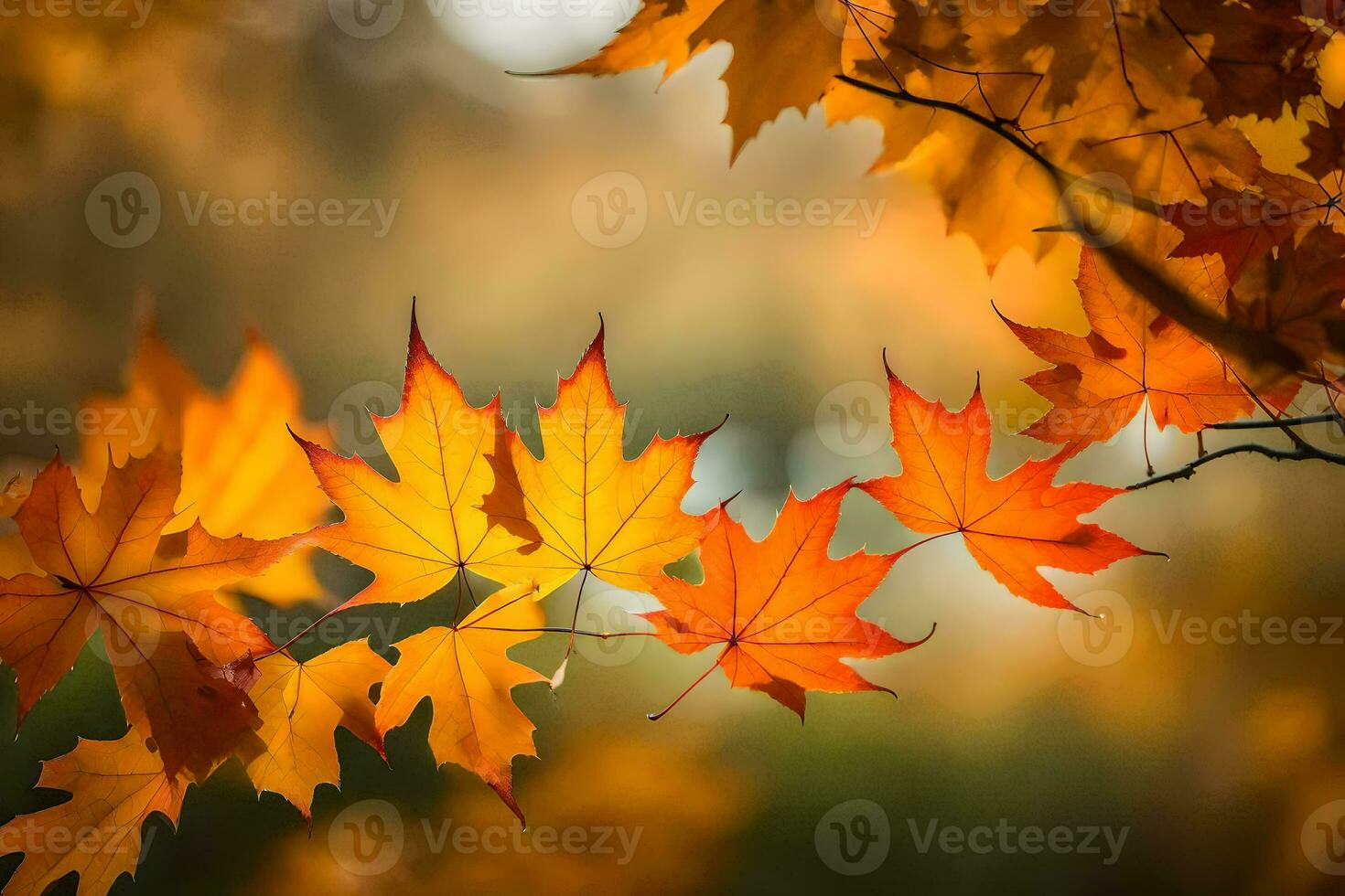 photo wallpaper leaves, the sun, autumn, the leaves, the leaves, the leaves, the. AI-Generated