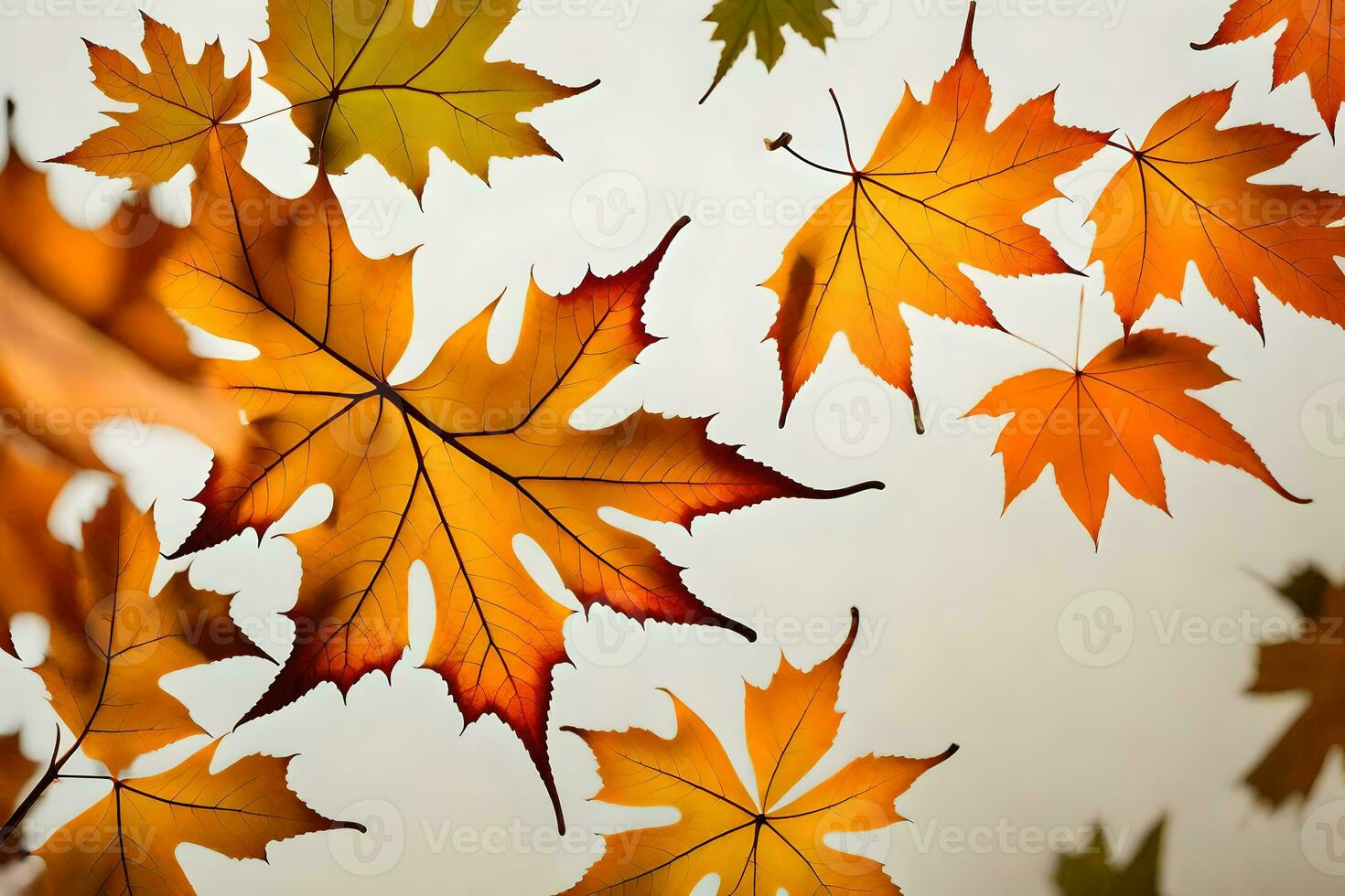 a group of autumn leaves are flying in the air. AI-Generated photo