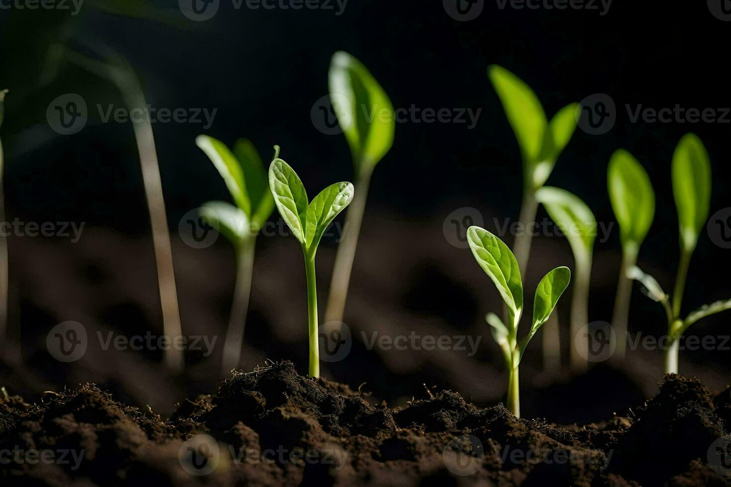 young plants sprouting from the soil. AI-Generated photo