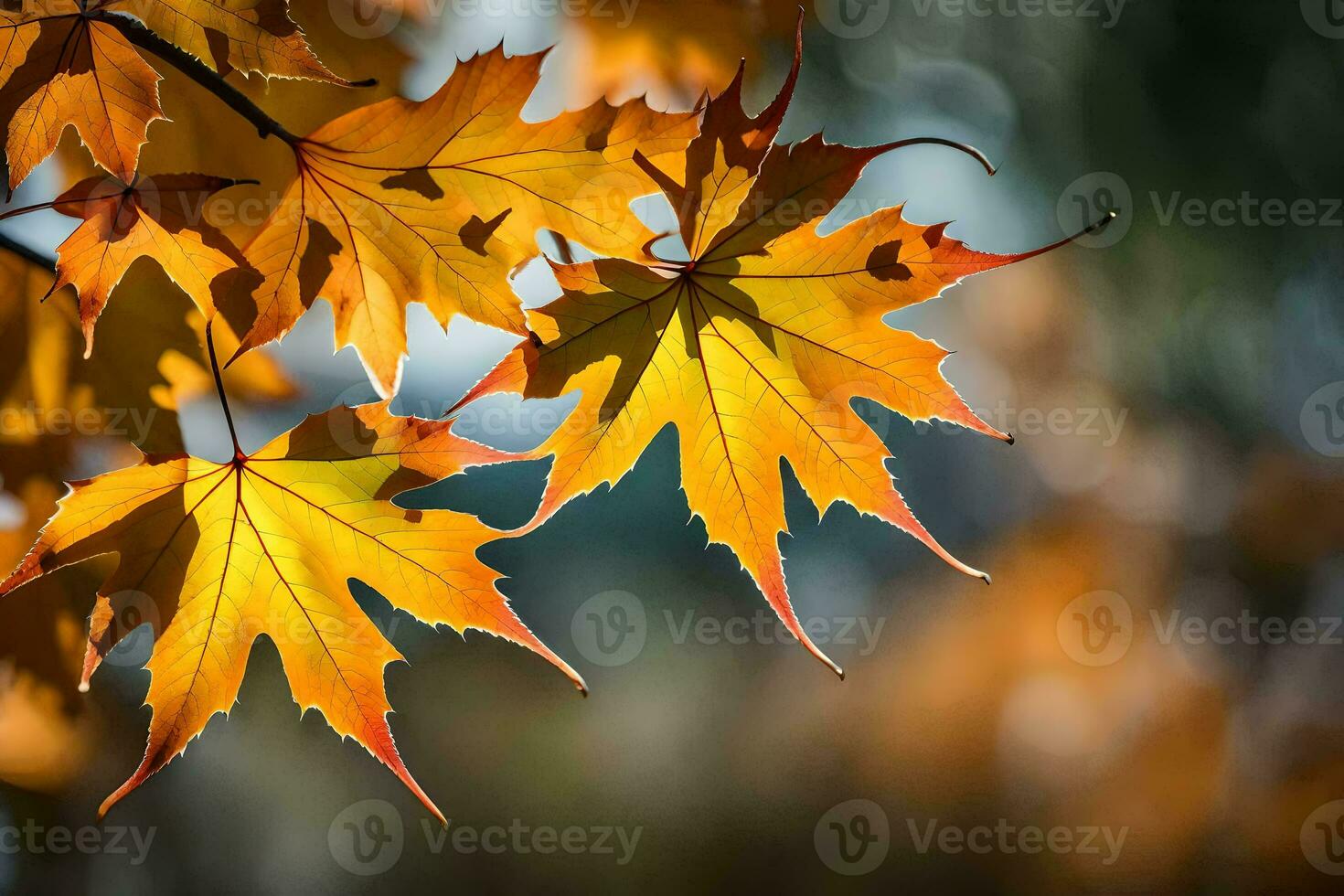 autumn leaves on a tree. AI-Generated photo