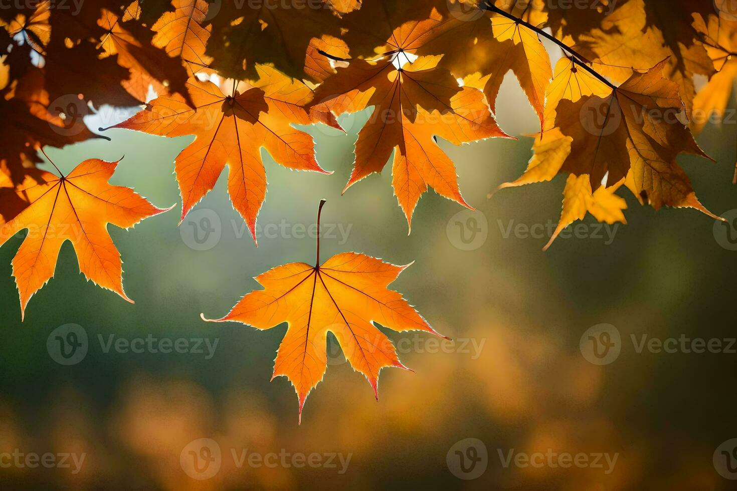 autumn leaves hanging from a tree. AI-Generated photo