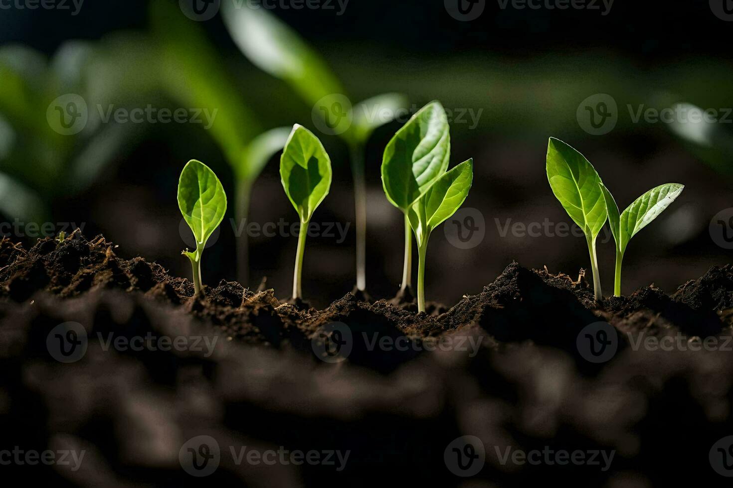 a group of young plants growing in the soil. AI-Generated photo