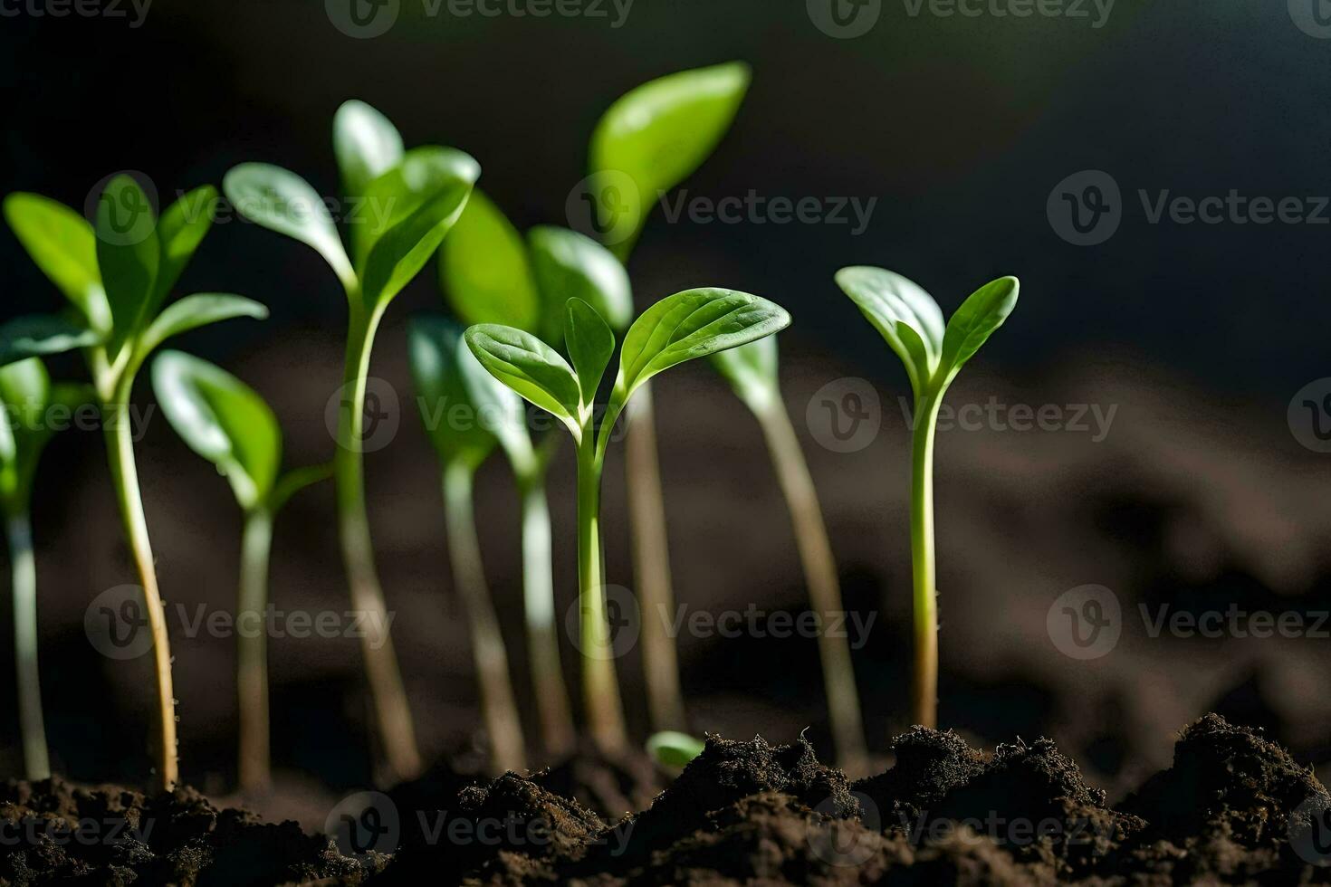 a group of young plants growing in the dirt. AI-Generated photo