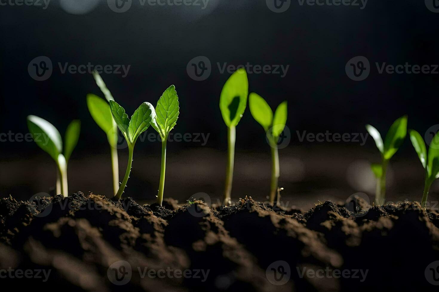 a group of young plants growing in the dirt. AI-Generated photo