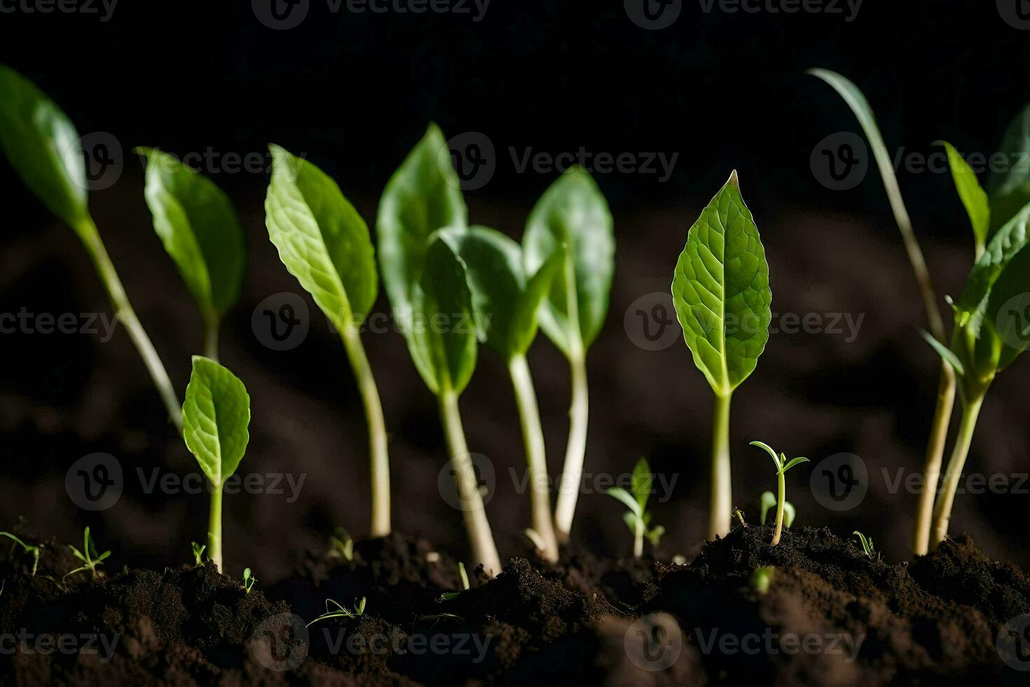 young plants sprouting from the soil. AI-Generated photo