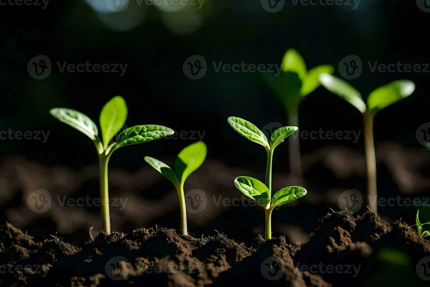 a group of young plants growing in the dirt. AI-Generated photo