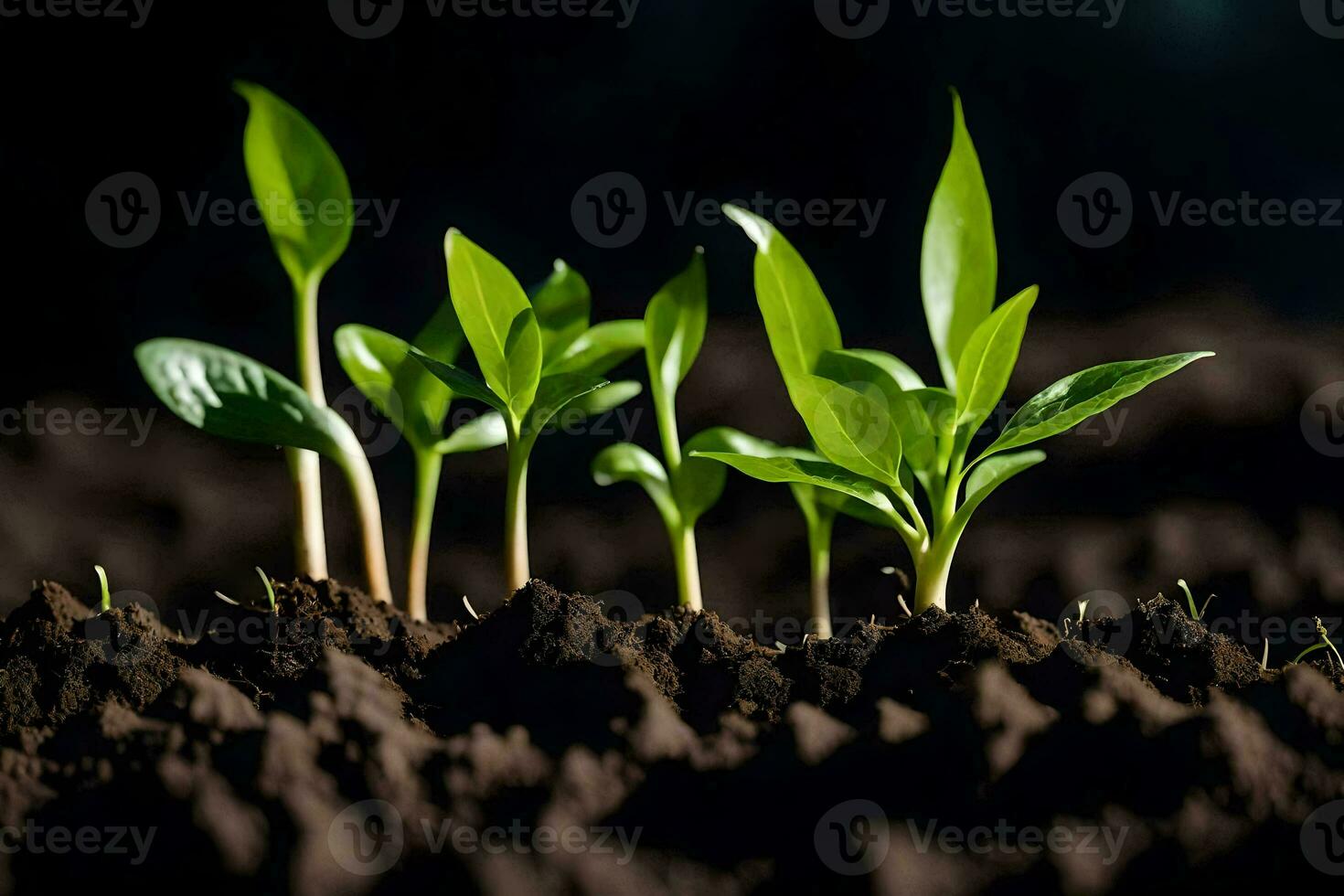 un grupo de joven plantas creciente en el suciedad. generado por ai foto