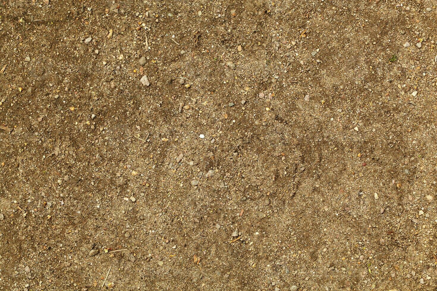 Arid ground texture photo