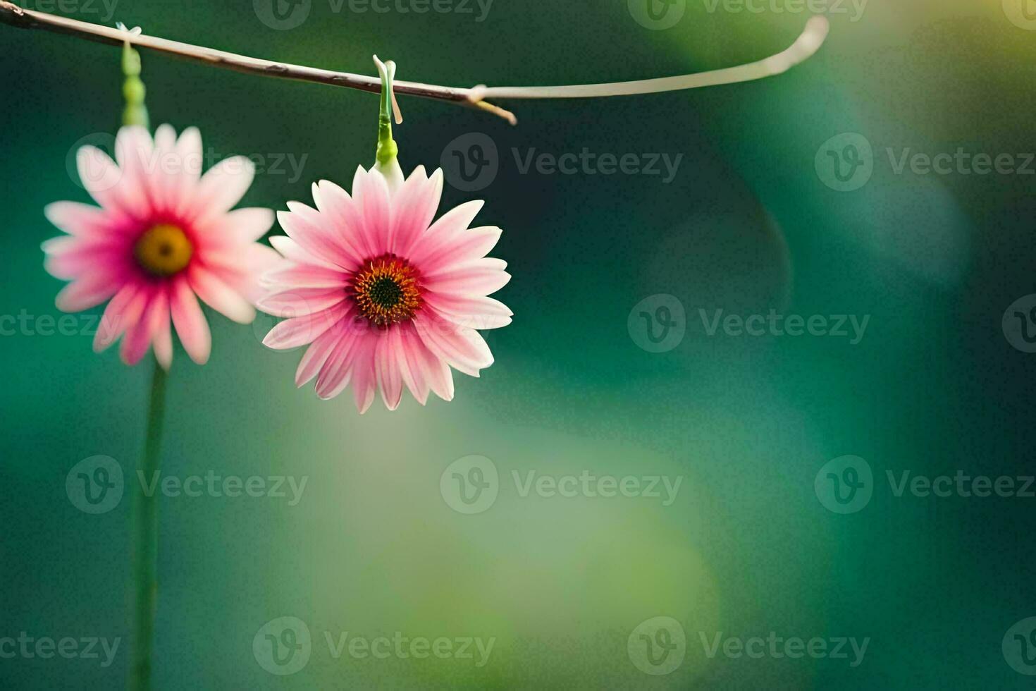 two pink flowers hanging from a branch. AI-Generated photo