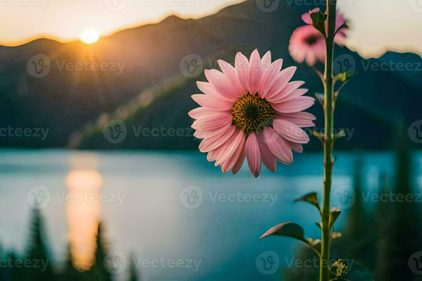 pink flower in front of mountains and lake at sunset. AI-Generated photo