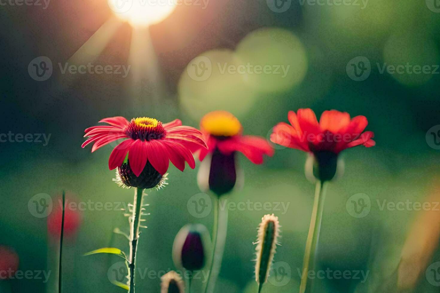 red flowers in the sun with green grass. AI-Generated photo
