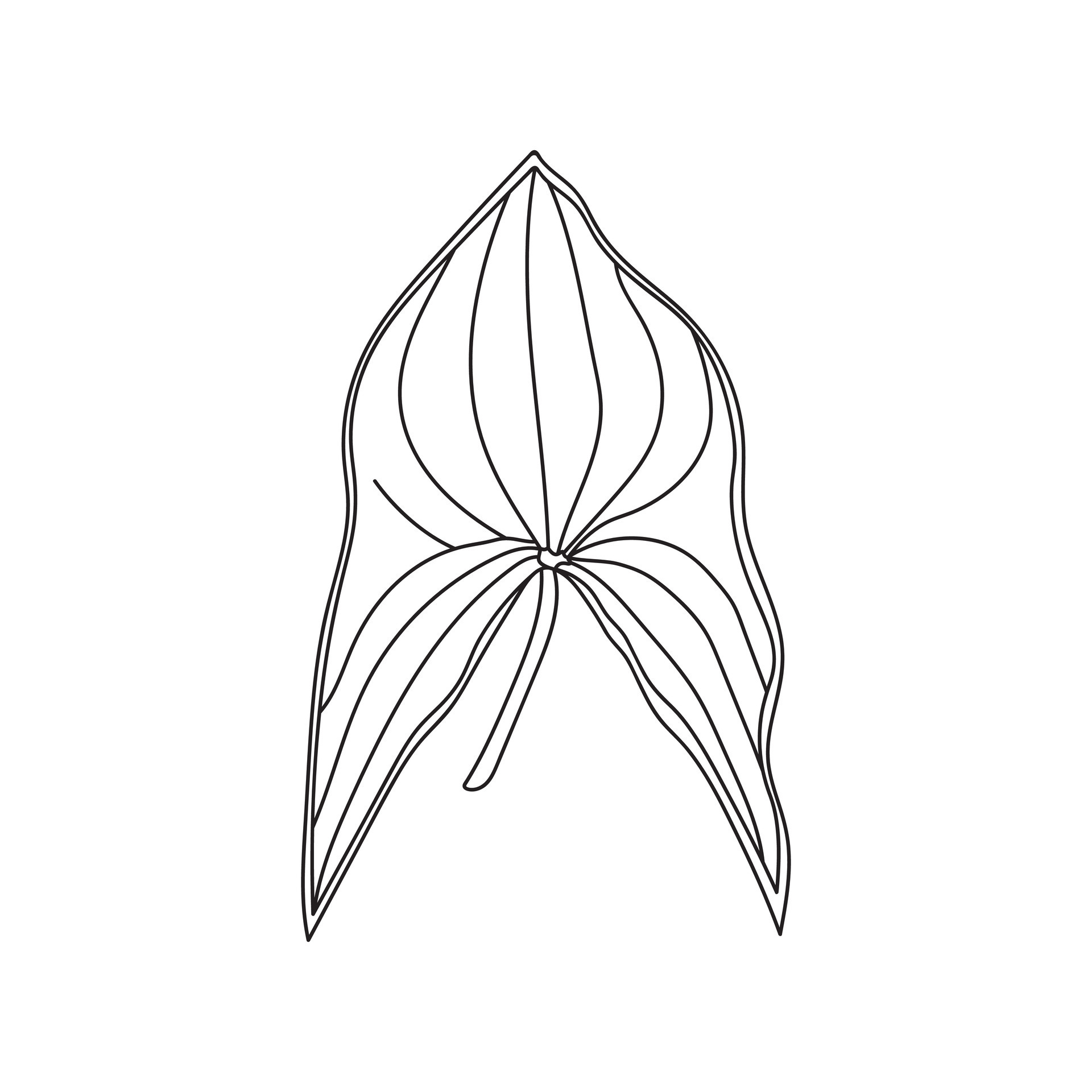 Hand drawn Kids drawing Cartoon Vector illustration duck potato leaf