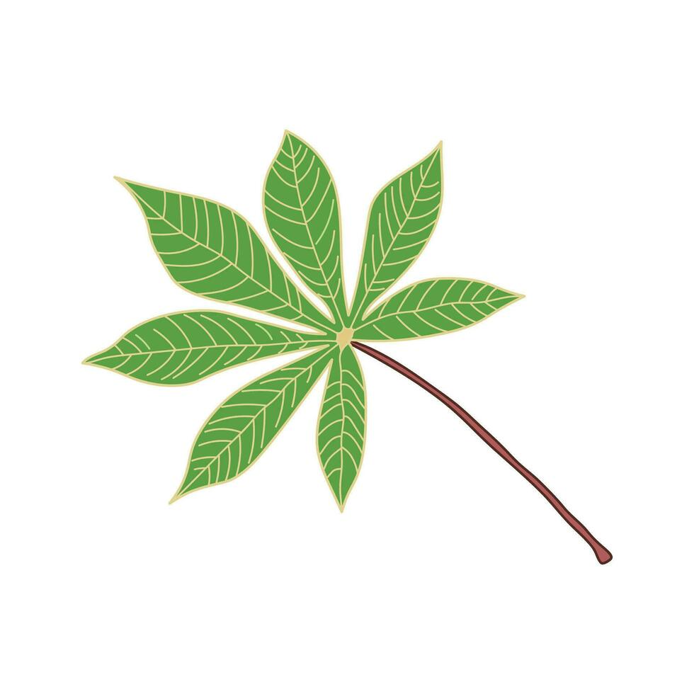 Hand drawn Kids drawing Cartoon Vector illustration cassava leaves Isolated on White Background