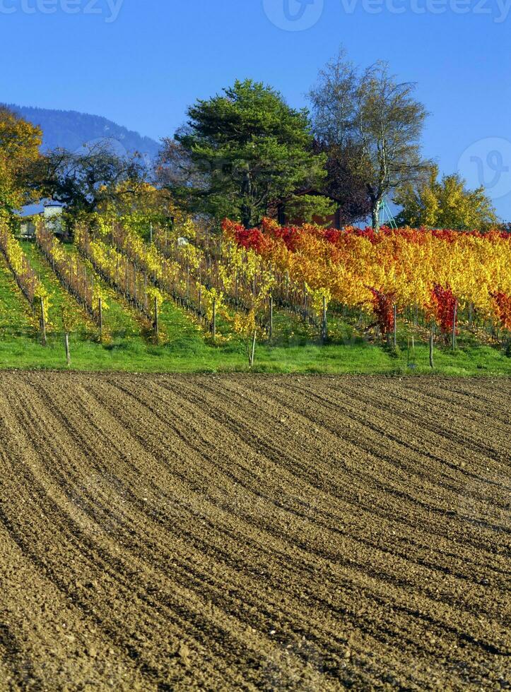 Rural field by day photo