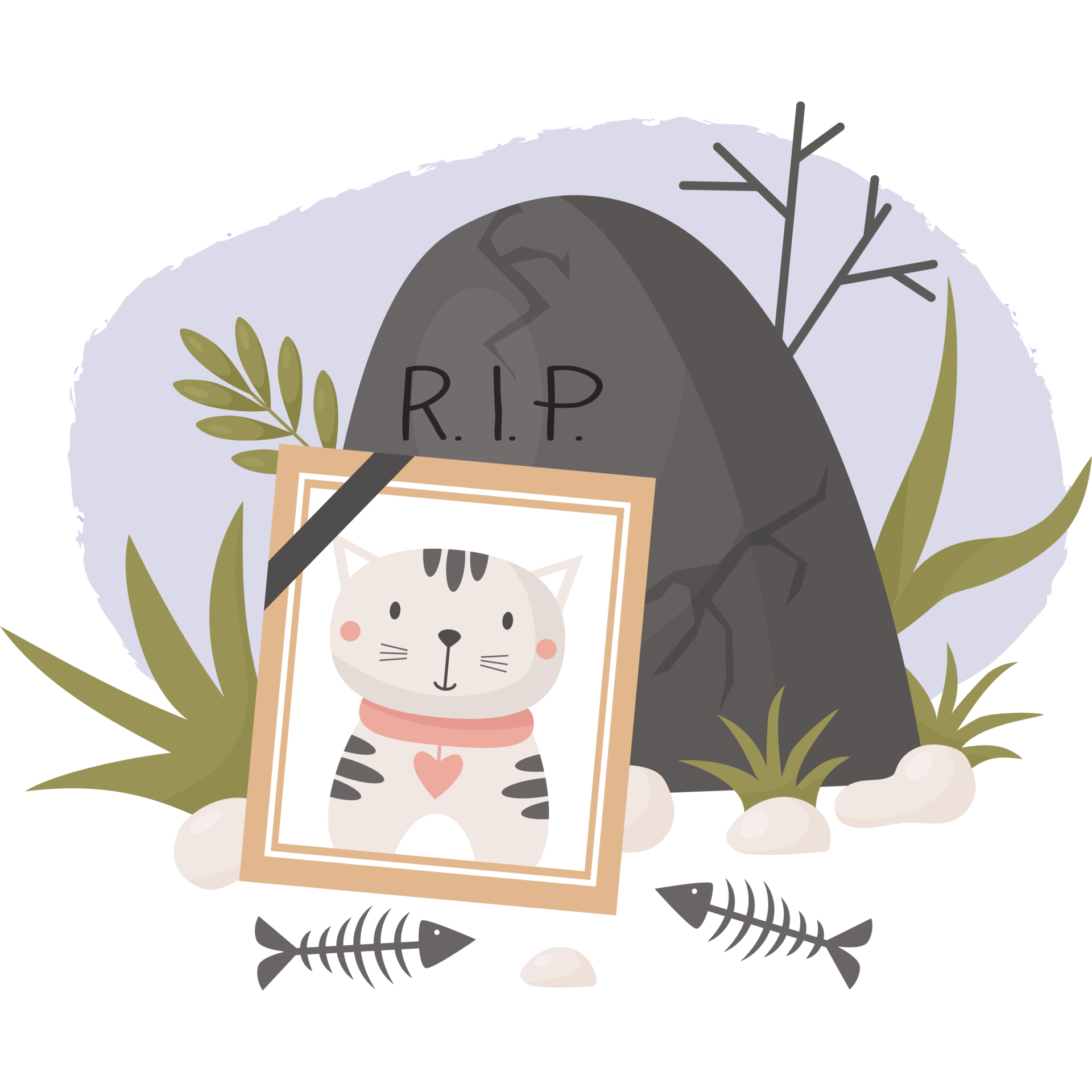 Photograph of dead cat. Cemetery grave 30904054 PNG