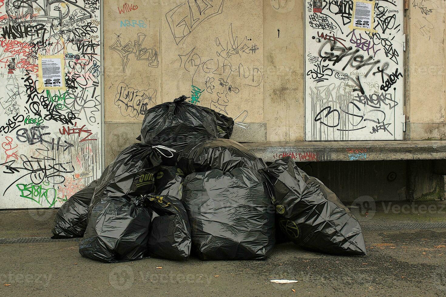 Tied black rubbish bags photo