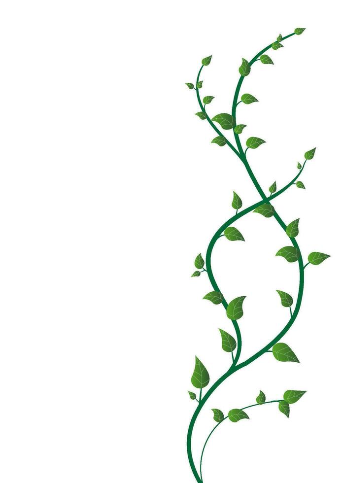 branches of trees and leaves curved back and forth on white vector