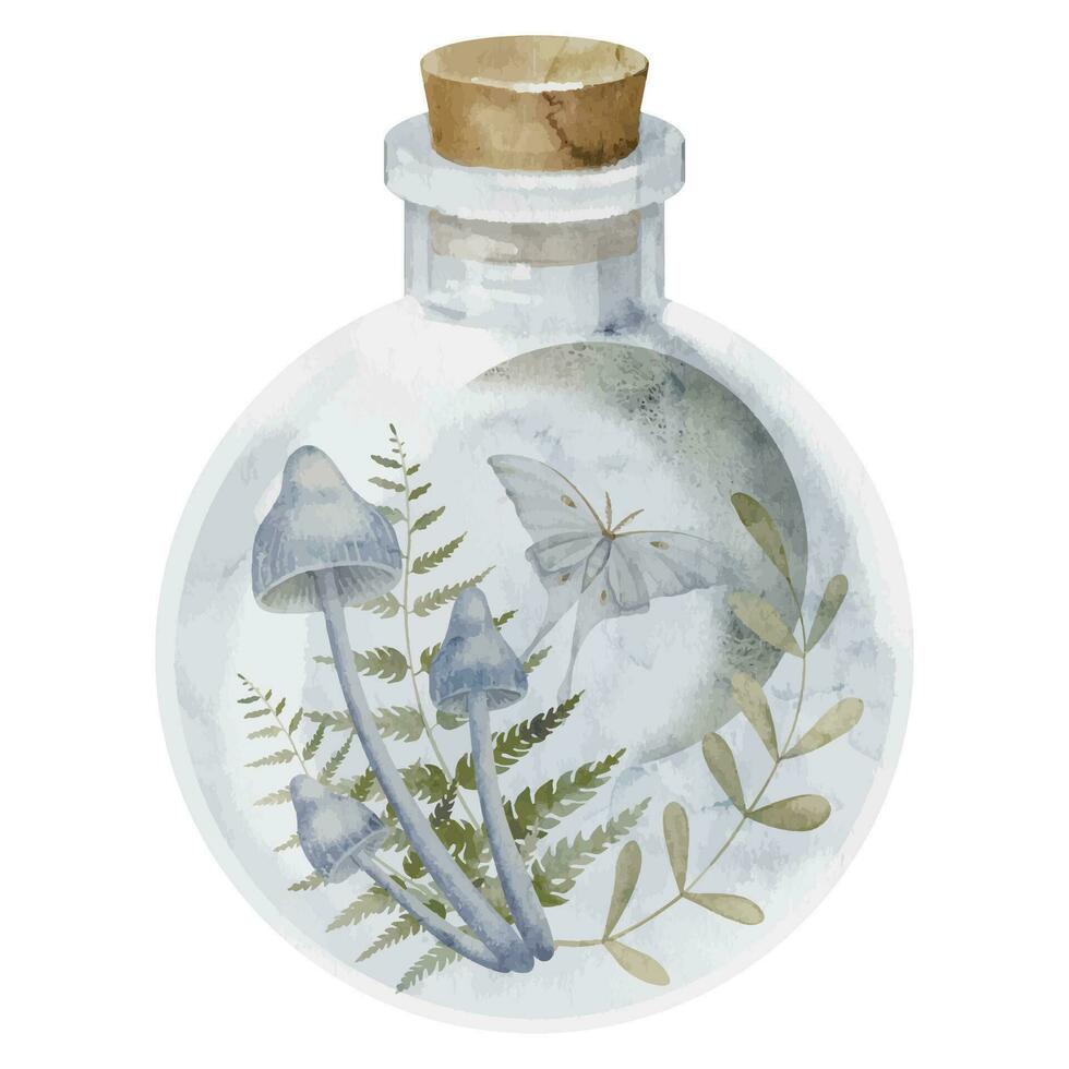 Fantasy drawing of Magic mushrooms with the moon and a moth in a Jar. Watercolor illustration of a mystical potion. Hand drawn clipart on isolated background. Sketch of toadstools and luna butterfly vector