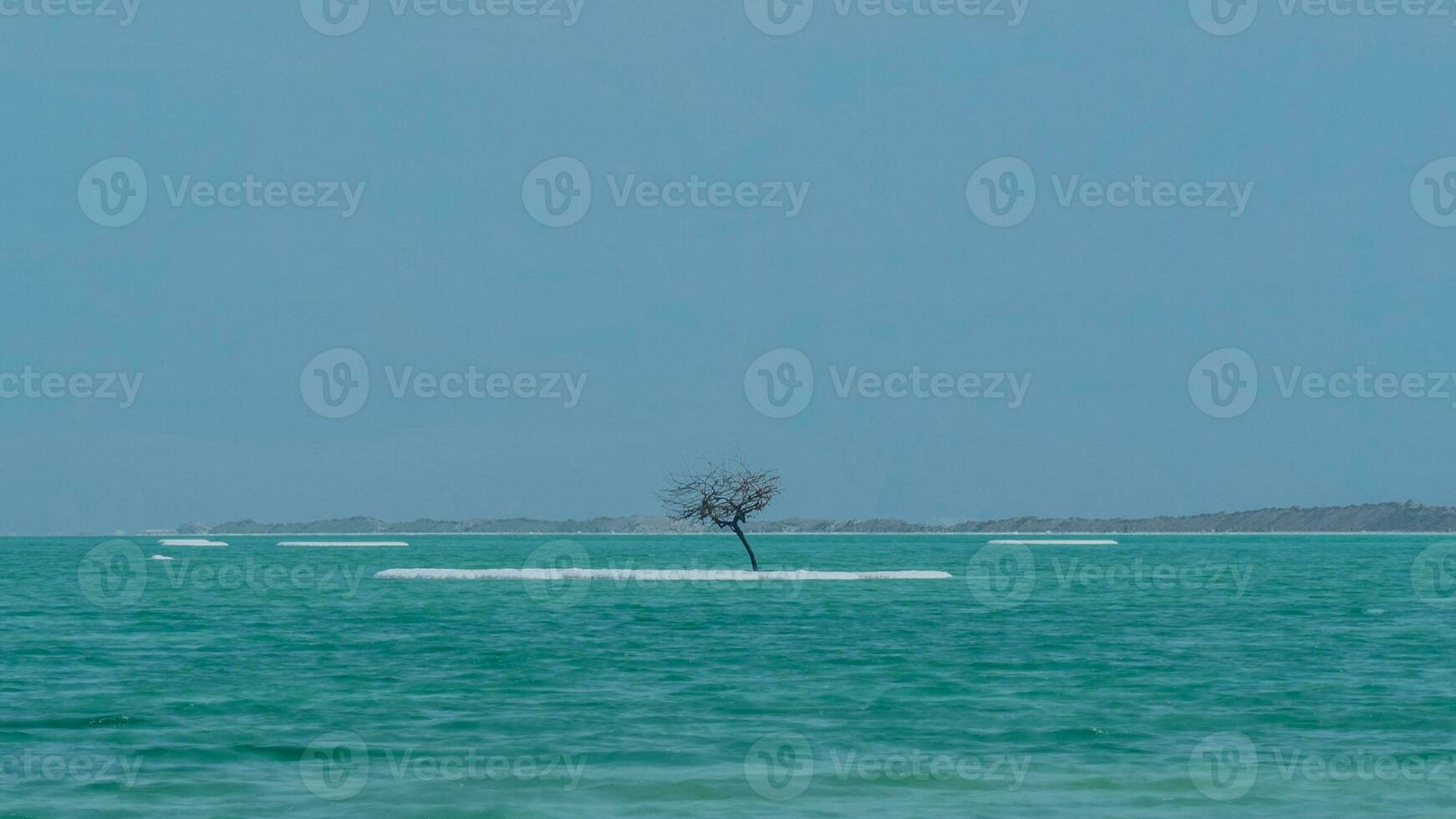 Dead Sea shore with salty beach photo