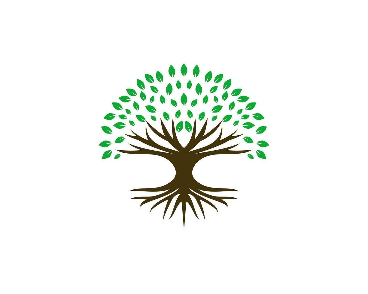 Abstract vibrant tree logo design, root vector. Simple Tree icon logo design inspiration isolated on white background vector
