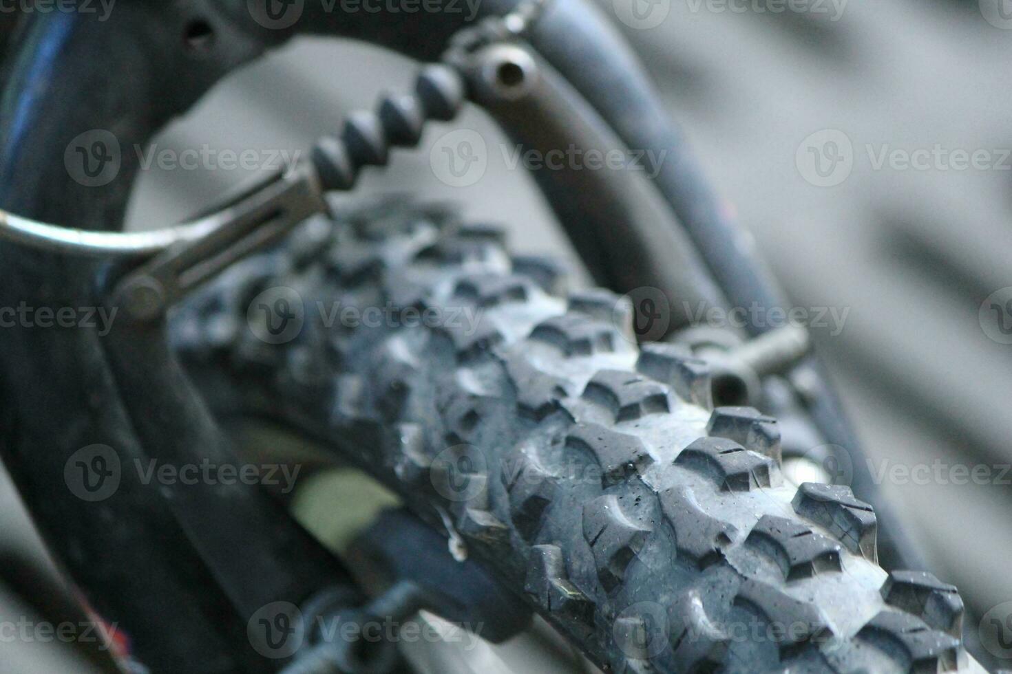 Mountain bike tire photo
